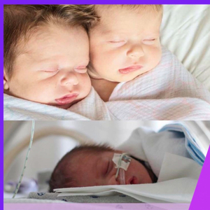 Fundraising Page: Deirdre Mollahan